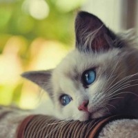 Liễu Thùy My - người chơi tại 777kingbet