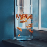 Avatar của Vũ Lan Hương